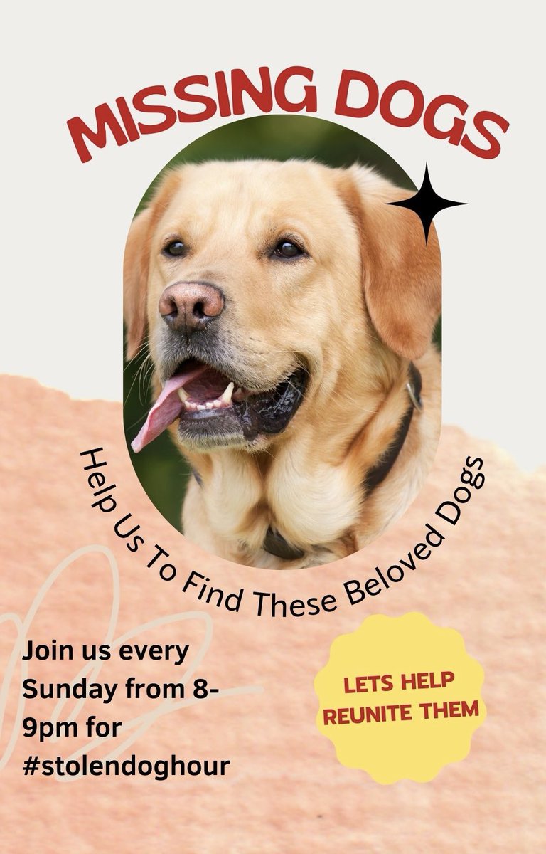 Welcome to #stolendoghour  🙏
An hour every Sunday from 8-9pm dedicated to posting stolen and missing #dogs and raise awareness of this issue. 
All welcome, please use the hashtag and we will RT 💕🐾
Thank you for your support 🙏 🐶
 #stolendogs #missingdogs #SundayMotivation