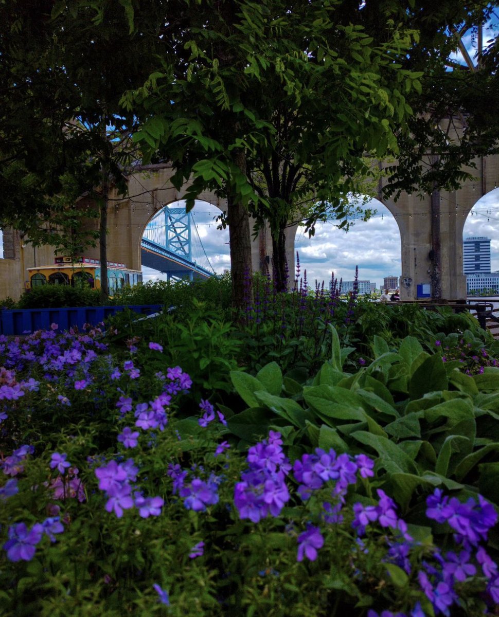 Who doesn’t love some purple? Come spend an afternoon in the Cherry Street Garden and enjoy the nature that surrounds you. 📸 all_characters_are_imaginary_o on IG #MyPhillyWaterfront #CherryStreetPier