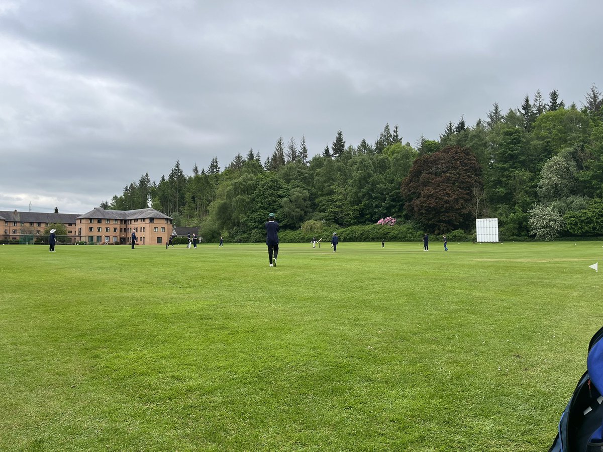 Watt Family tweet media