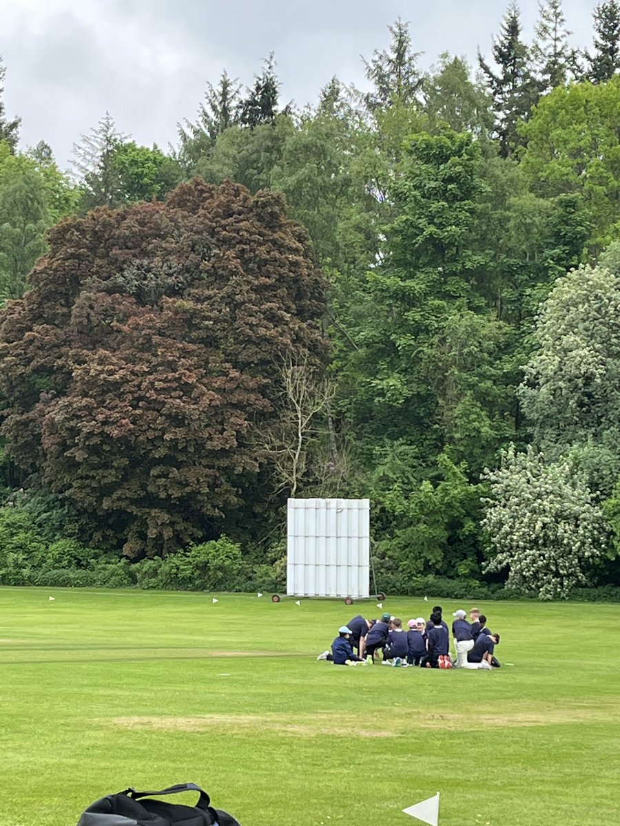 Watt Family tweet media