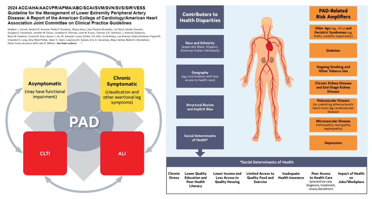 2024 ACC/AHA/AACVPR/APMA/ABC/SCAI/SVM/SVN/SVS/SIR/VESS Guideline for the Management of Lower Extremity #PeripheralArteryDisease
A Report of the American College of Cardiology/American Heart Association Joint Committee on Clinical Practice Guidelines

Our non-surgical treatment