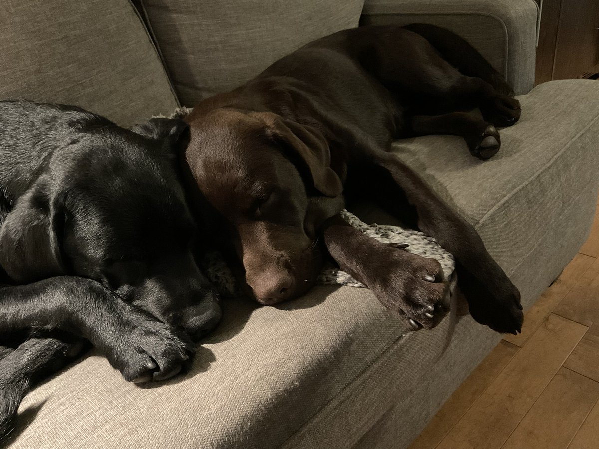 What bestie bros do best #Nap