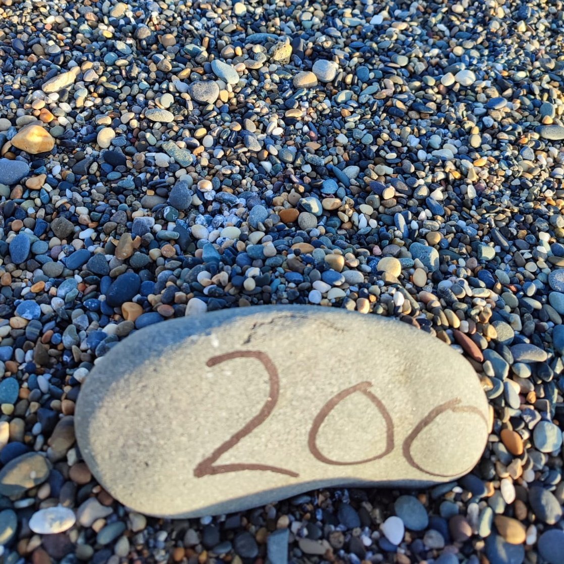 Brian Burke (@bburke88) on Twitter photo Just got word from our wardens at Kilcoole that we now have >204 active Little Tern nests, matching last year's peak (which wasn't hit until June 2023). It's been a very early start to nesting and it'll be a busy few months trying to keep them all safe! <a href="/NPWSIreland/">National Parks and Wildlife Service</a> <a href="/BirdWatchIE/">BirdWatch Ireland</a> Just got word from our wardens at Kilcoole that we now have >204 active Little Tern nests, matching last year's peak (which wasn't hit until June 2023). It's been a very early start to nesting and it'll be a busy few months trying to keep them all safe! <a href="/NPWSIreland/">National Parks and Wildlife Service</a> <a href="/BirdWatchIE/">BirdWatch Ireland</a>