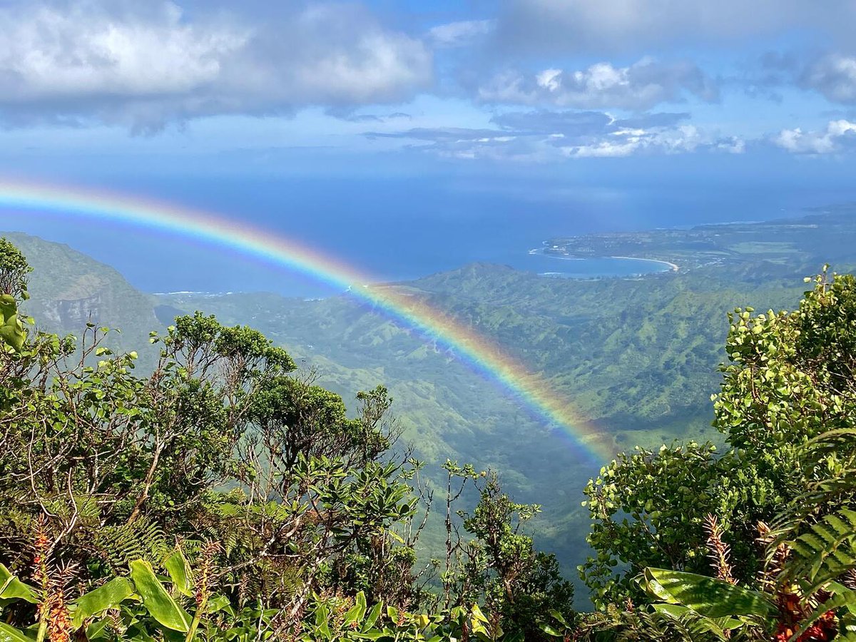 Enjoy #OurEarthPorn! (Steal This Hashtag for your own and join the community of Nature Addicts! ) Hanalei Bay over the rainbow, Kauai, Hawaii [OC][4032x3024] Photo Credit: Mrpetasus .