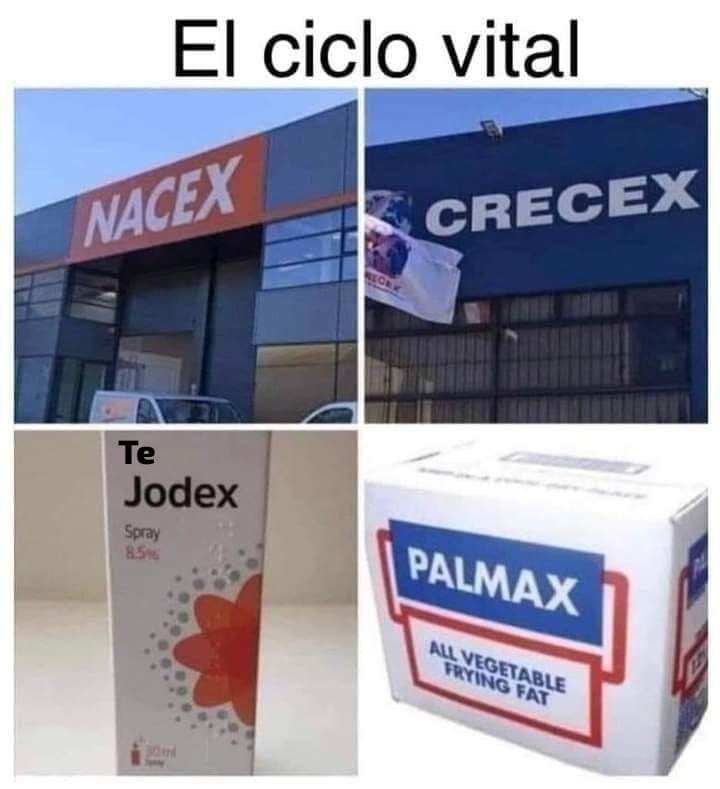 rauldelgado0256's tweet image. #Nacex 
#Crecex 
#TeJodex 
#Palmax