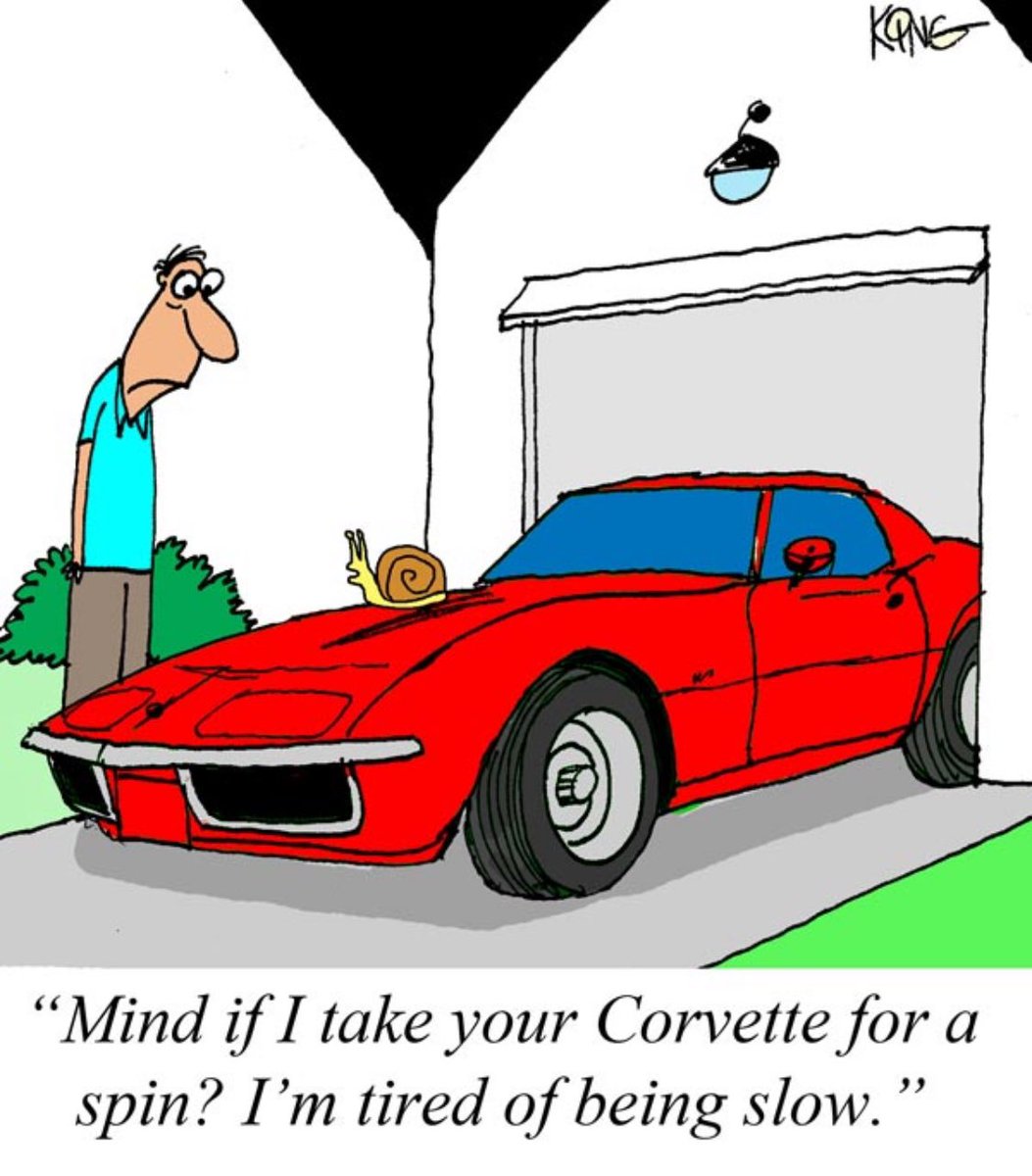 Weekend meme

#carmeme #memesdaily #corvetteowners #corvettelifestyle #carsandcoffee #memepage #corvettemike #comics