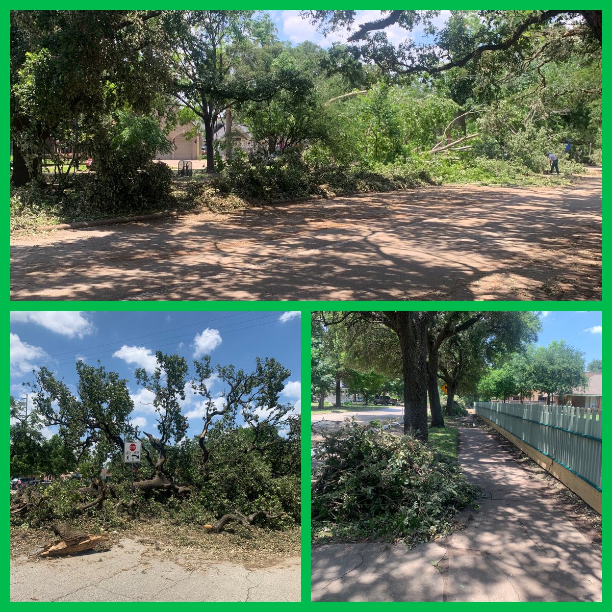 Storms & high winds can inflict damage on the tree canopy in a short period of time. Photos from the Heights Boulevard esplanade.