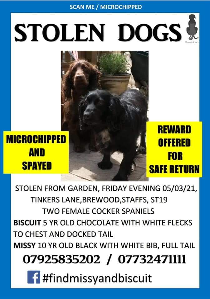 Where are MISSY & BISCUIT?? Reward for safe return Stolen #Stafford #ST19 in 2021 Please help find Missy & Biscuit #stolendoghour #findmissyandbiscuit