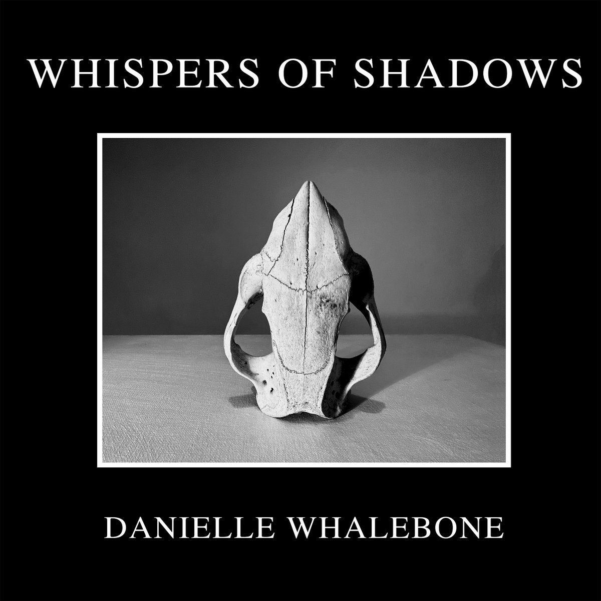 Listen to the album 'Whispers of Shadows' and immerse yourself in the mysterious world of incredible Danielle Whalebone. #indiedockmusicblog #darkwave eu1.hubs.ly/H098Y_g0