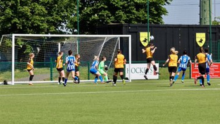 Yachtswomen fight back falls shotin League Cup final #Pitchero wroxhamfc.club/news/yachtswom…