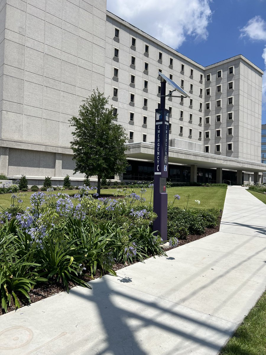 TheResidencesatLSU (@residencesatlsu) on Twitter photo Only 120 second walk from us to LSUHSC CALS building. <a href="/LSUHSCNursing/">LSU-NO Nursing</a> <a href="/LSUHealthNO/">LSU Health Sciences</a> Only 120 second walk from us to LSUHSC CALS building. <a href="/LSUHSCNursing/">LSU-NO Nursing</a> <a href="/LSUHealthNO/">LSU Health Sciences</a>