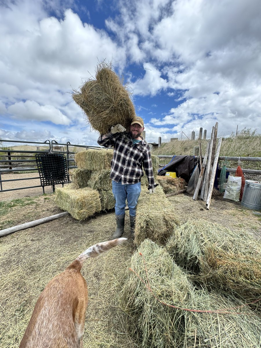 Happy Sunday Montana! Here’s hoping for rain so I don’t have to move any more of these for a couple months.