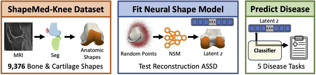 Im excited for my first #ISMRM2024 oral presentation 'Neural Shape Models Meaningfully Localize Features Relevant to Osteoarthritis Disease' We're also sharing our medRxiv paper and announcing our ShapeMed-Knee Dataset that we hope others will leverage to advance the field 🧵