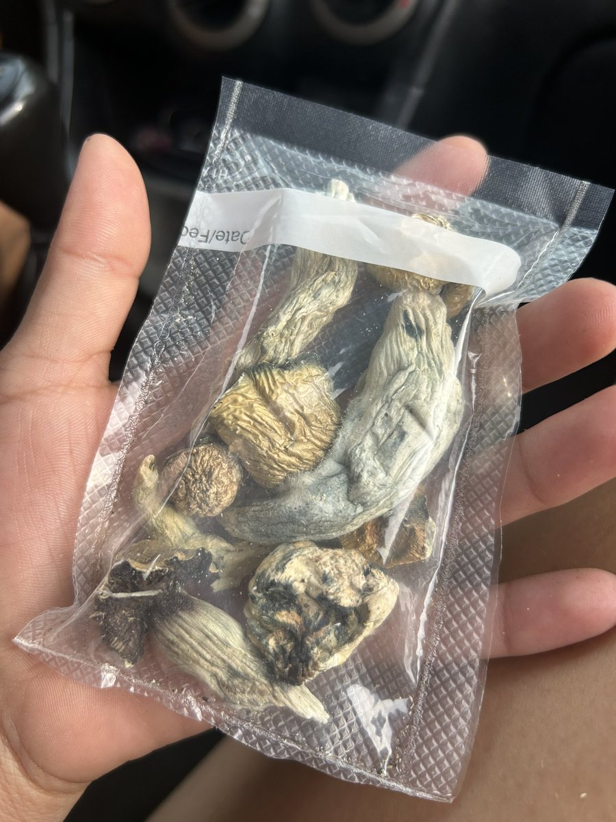 Nada que unos honguitos no curen 🍄🍄