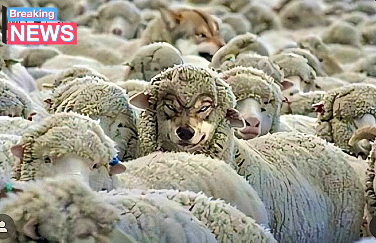 visaodemalloka's tweet photo. que Deus me proteja dos inimigos e dos lobos em pele de cordeiro, e de toda maldade disfarçada de amizade. 💯 https://t.co/EG7xPAnneR