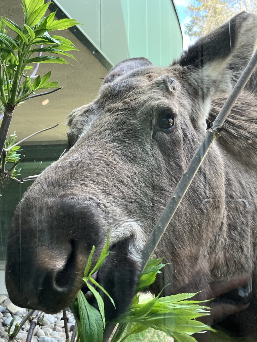 Lori Townsend tweet media