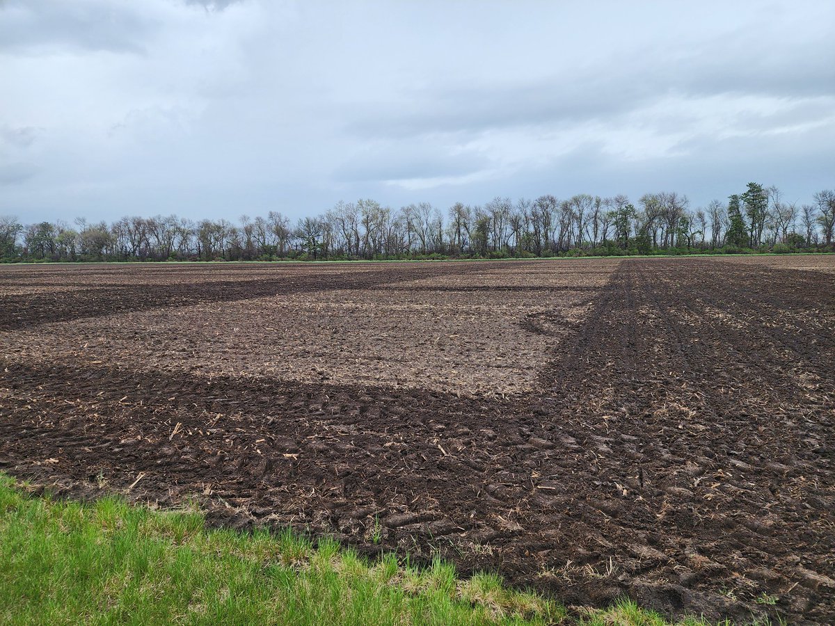 kov_pet's tweet photo. Hungarian phrase says a rain in May is golden. That certainly make #plant24 challenging. We were able to start planting yesterday. Our #StarterFertilizer and some #StripTillage studies. More to come in coming days https://t.co/lOpammTDJG