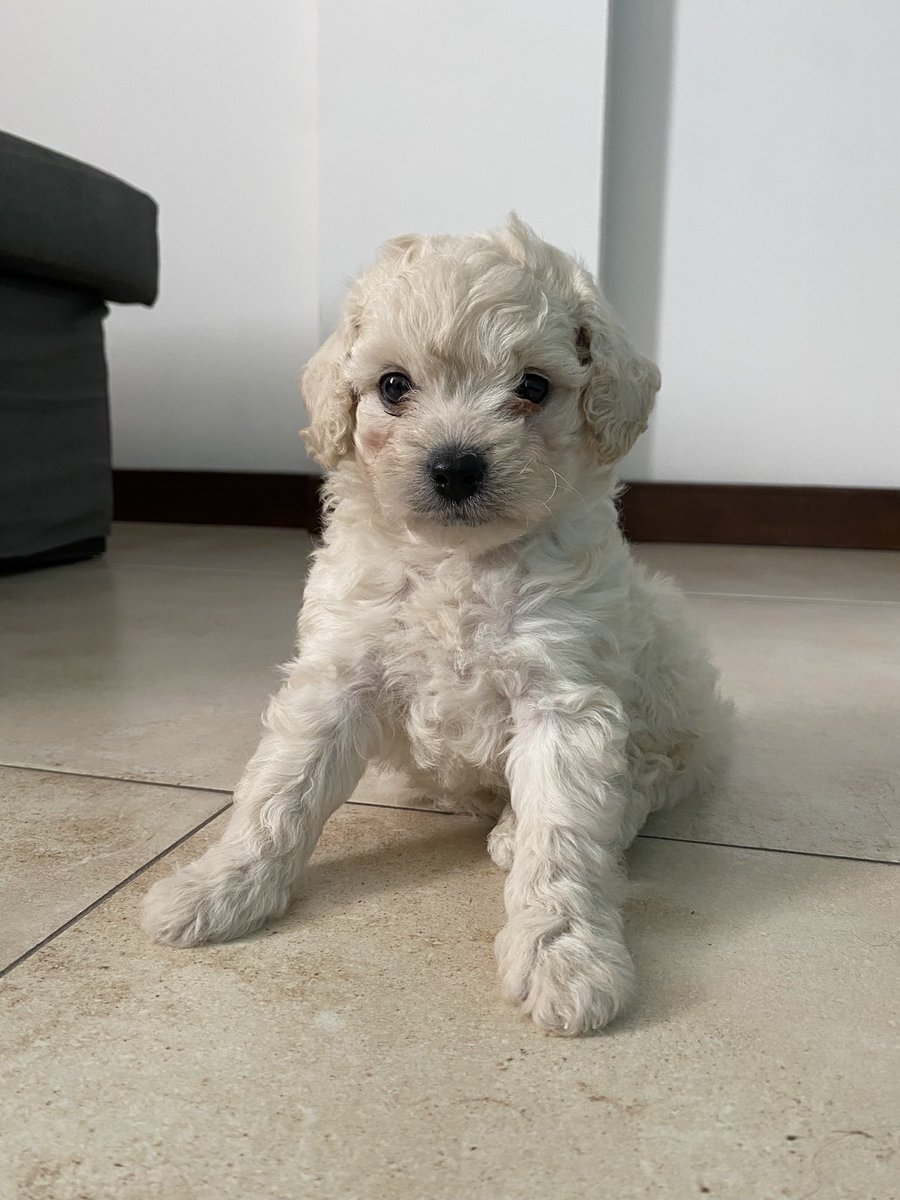 Mira ese pelito de bebe 🥺
