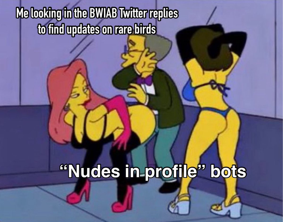 Original Danger Noodle tweet media