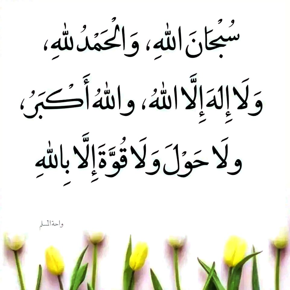 Ali Imam (@aliimam31411417) on Twitter photo 