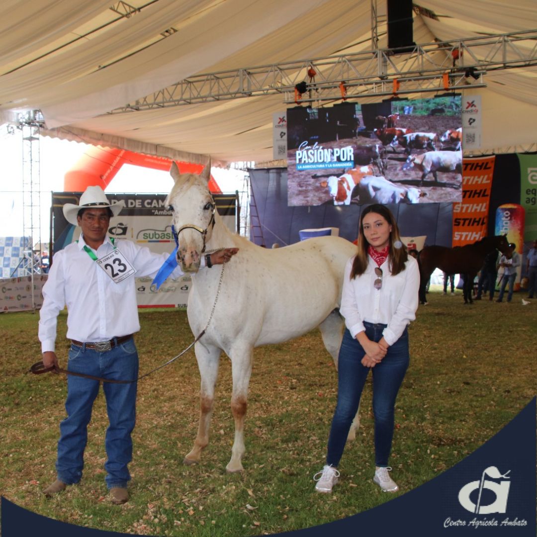 CAgricolaAmbato's tweet photo. Queremos recordar nuestro Juzgamiento de Caballos en la 𝐄𝐱𝐩𝐨𝐅𝐞𝐫𝐢𝐚 𝐀𝐠𝐫𝐨𝐩𝐞𝐜𝐮𝐚𝐫𝐢𝐚 “𝐀𝐦𝐛𝐚𝐭𝐨 𝐕𝐢𝐯𝐞 2024” tuvimos grandes eventos y nos place compartir con Uds. cada recuerdo 🐎🐴🐎

#centroagricolaambato
#cemeag
#AmbatoVive
#caballos
#Recuedos https://t.co/gOyPCpPitB