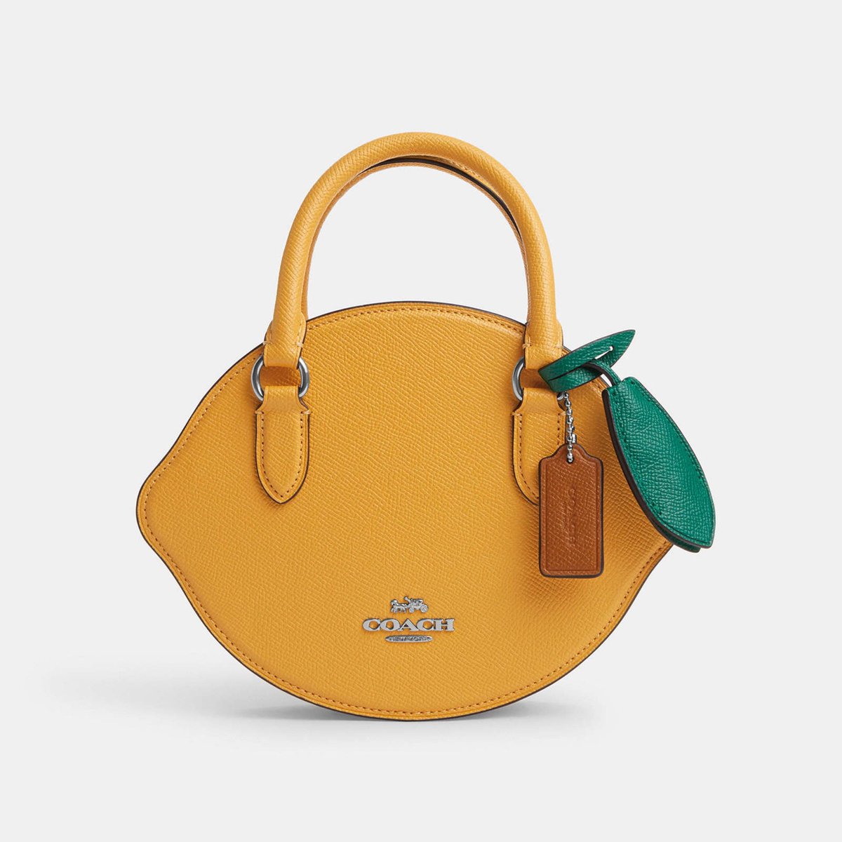 Ultimate Guide to Coach Fruit Bags 2025: Styles, Comparisons, and Tips