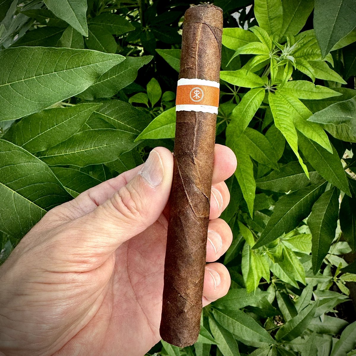 Some days, you just need to come home to your favorite cigar. I was too impatient to open another box of Neanderthal SGP so a @SmokeRoMA Neanderthal HS will pinch hit.