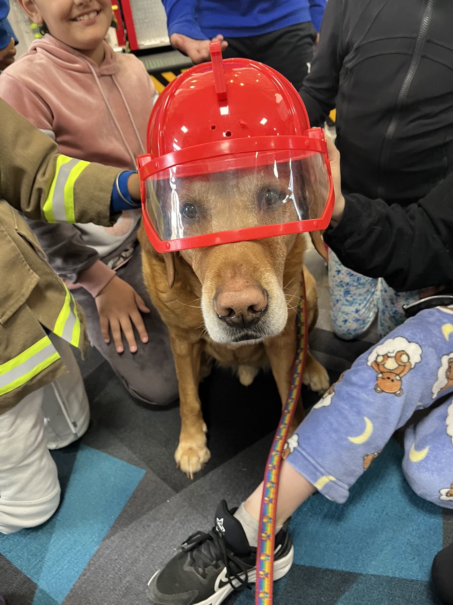 ValleyviewCBE's tweet image. Today some of our grade 4 and 5 students had a chance to see the fruits of their labour after their Read-a-Thon for #engine23! With close to 3600 books being read, Cello was able to donate almost $900 to the @calgarylibrary. Today’s visit was special 🐶 @CBEArea3 #WeAreCBE