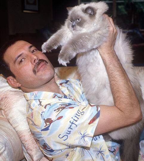 ROCKCLASIC0's tweet image. Freddie Mercury y Tiffany, 1988