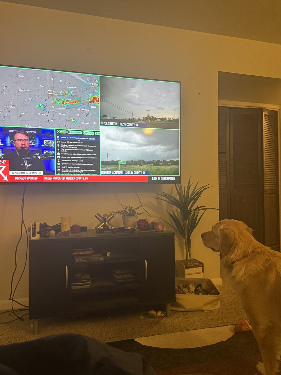 Will Vaughan tweet media