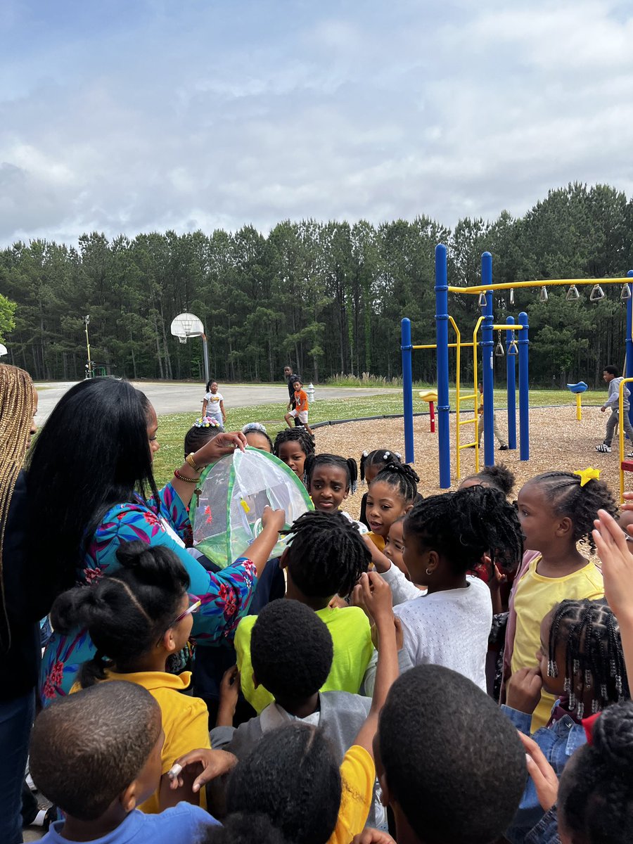 1st Grade Scientists explored the final stage of the butterfly 🦋 life cycle today. Thank you @thatsmeMrsRabb and @MsJHigh ! @ibpyp @NPorter17 @aplatimore