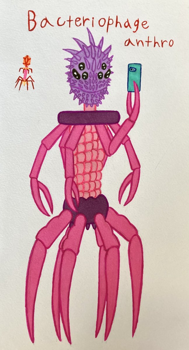 Another odd anthro! I’m not sure what color these viruses are, so I made it pink. Bacteriophage are very efficient for fighting superbugs which are bacteria resistant to antibiotics.
#anthroart #Anthro #visualart #traditionalart #artwork #art