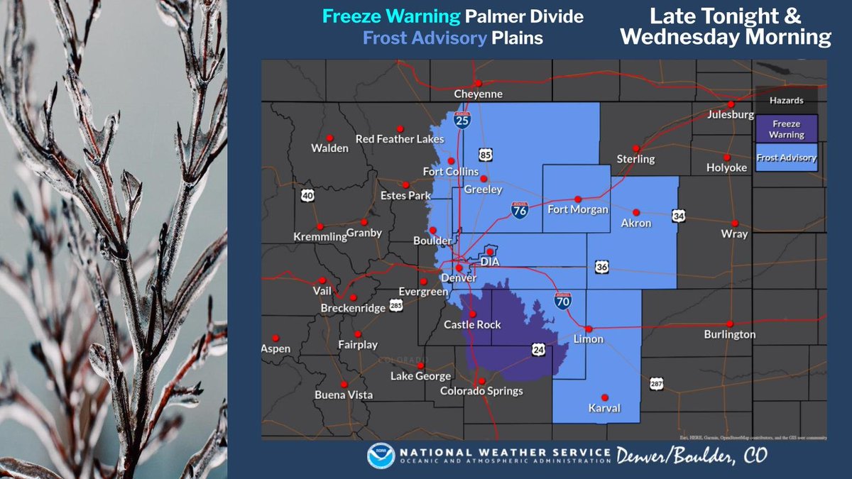 A Frost Advisory has been issued for the Urban Corridor and most of the eastern plains for late tonight and Wednesday morning. Also, a freeze warning is in effect for the Palmer Divide. Protect frost and cold sensitive plants from the sub freezing temperatures tonight. #cowx