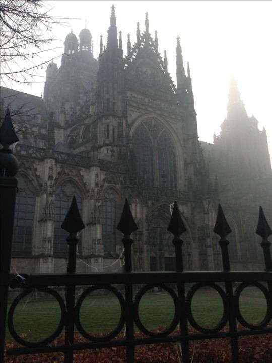 Cathedral Church of St. John  
Gothic architecture ' Hertogenbosch - Netherlands