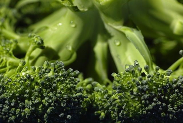 Broccoli is a winter vegetable that has immense cancer fighting power, nutrient value and taste! Find facts and tips for incorporating broccoli into your healthy diet habits! healthy-diet-habits.com/broccoli.html #Broccoli #Vegetable #Vegetarian #Cancer #Nutrition #HealthyDiet #HealthyFood