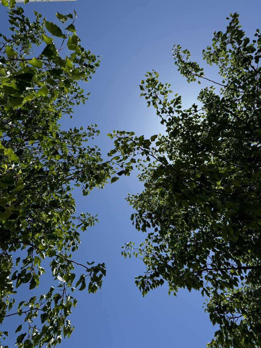 Prachee Avasthi tweet media