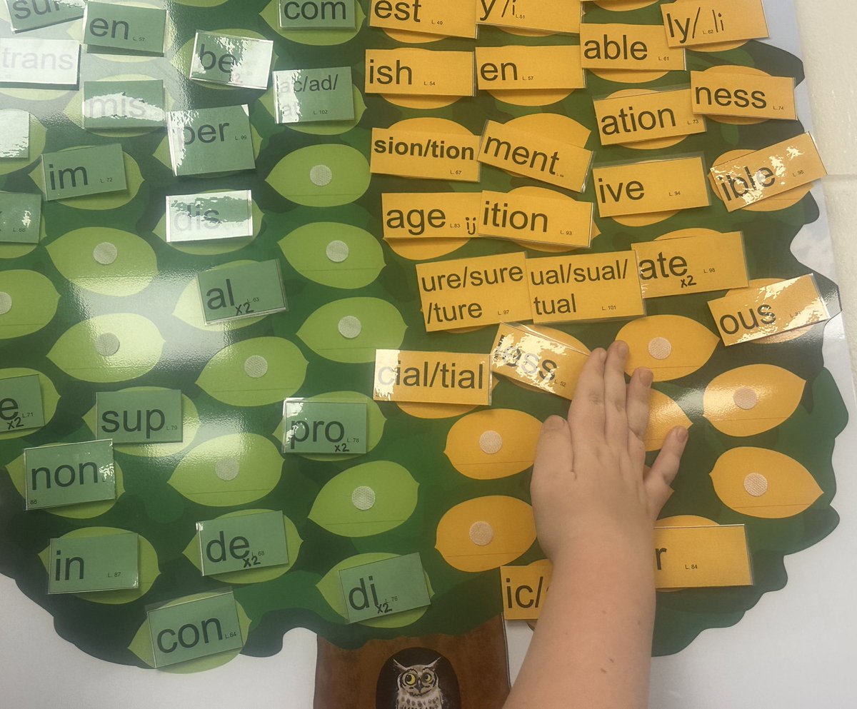 @ChapelHillOCSB Empower reading group just completed the Peeling Off Tree. Ss have worked hard to learn all of these prefixes and suffixes. Only 6 lessons left. I’m so proud of all the work they have done! #ocsb @OttCatholicSB