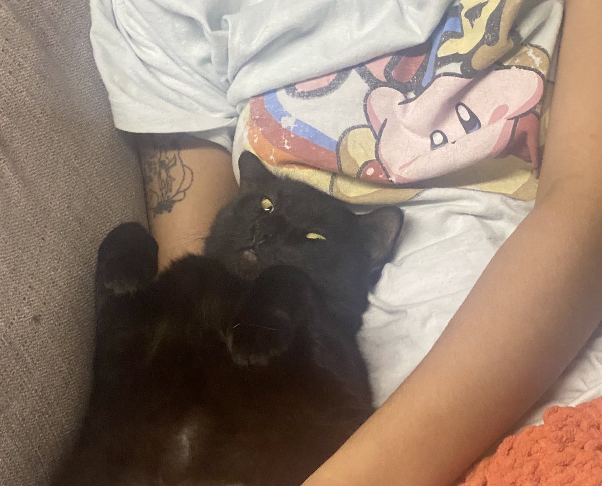 Verosive's tweet image. rest in peace Oswald.

Oswaldo. Mister Mister. the stinkiest man to ever do it. 

he was truly the best cat I’ve ever met. So kind, cuddly, and was always happy to give and receive love. 

Your brother, mother, and I love and miss you sir. your time with us was cut too short. 💜