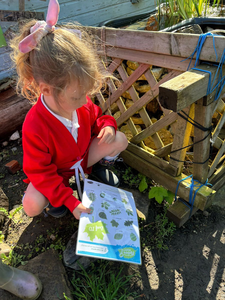 Today @CCIacademy Forest School, Year 1 focused on the importance of trees. Trees are vital for our planet, providing oxygen, homes, and delicious fruits for us to enjoy. Our young nature enthusiasts are on a tree identification adventure, comparing different leaf species.