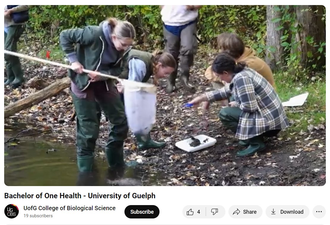 Interested in the University of Guelph's Bachelor of One Health (BOH) program (or know someone who is)? If so, watch this promotional video featuring #OneHealth faculty and current BOH students!: tinyurl.com/2zw3fy79 To learn more, visit: uoguel.ph/i27kf @UofGCBS