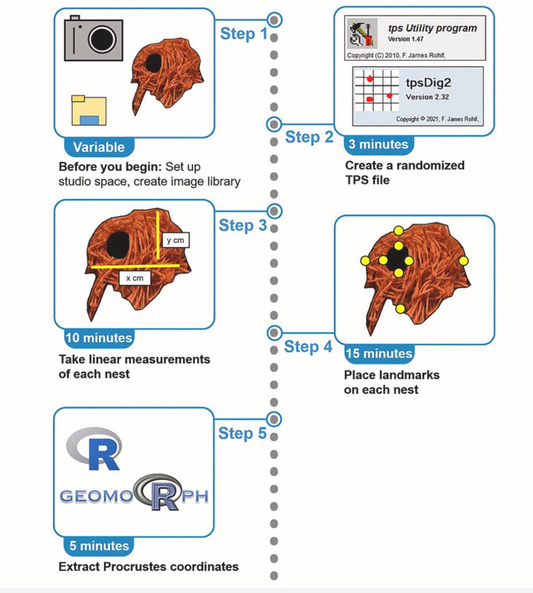 Read our ( @ba_whittaker @AndresCamacho_A ) protocol to quantify bird nest morphology via image analyses using linear measurements and geometric landmarks: STAR Protocols star-protocols.cell.com/protocols/3408 #birdnest @NSERC_CRSNG @Psych_UAlberta