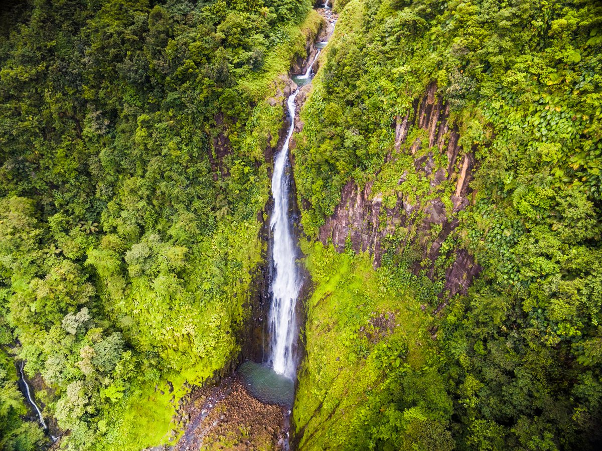Guadeloupe Islands tweet media