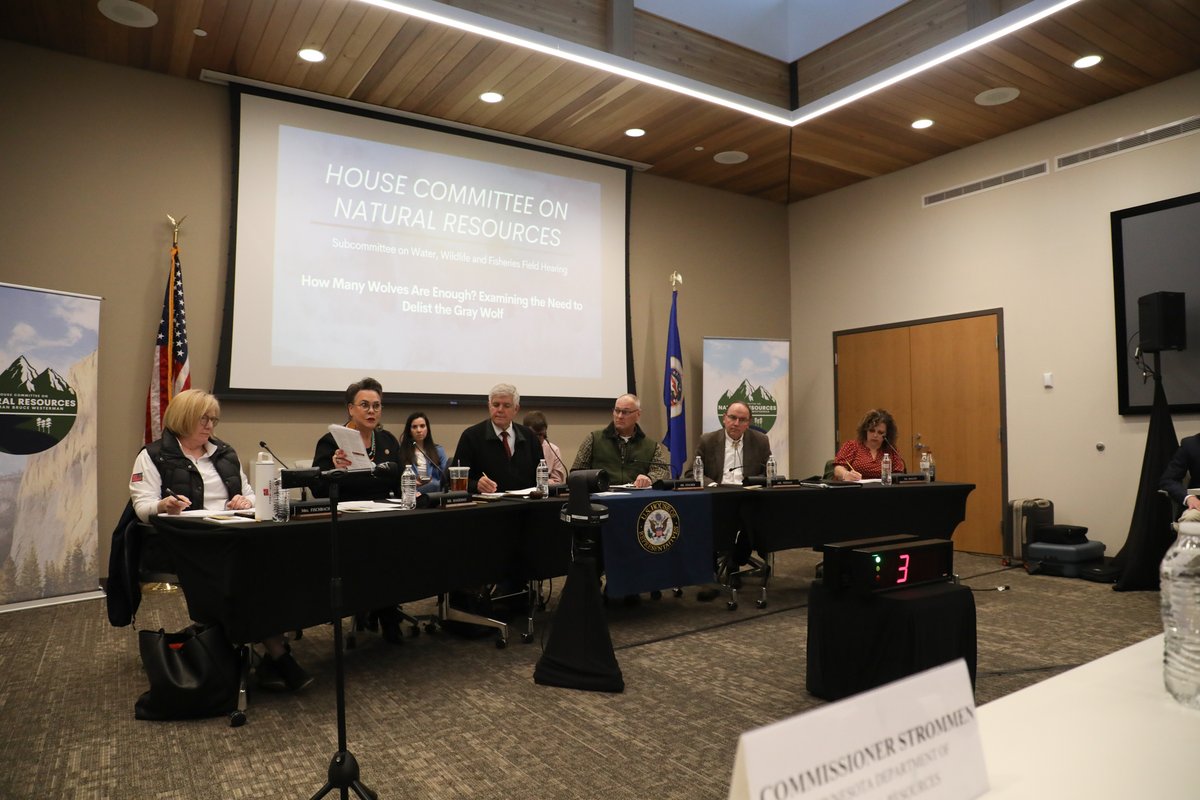 Last week, the committee was on the ground in Minnesota to hear about the problems caused by the gray wolf population. Members heard testimony from local leaders and farmers on how the gray wolf should be celebrated as an ESA success and management should return to the states.