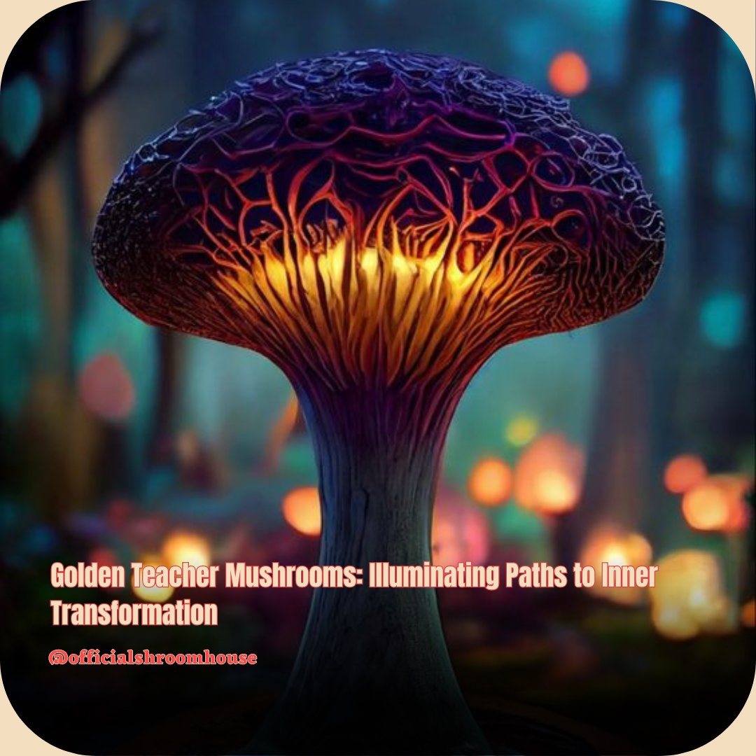 Dive into the transformative world of #GoldenTeacher mushrooms 🍄✨ Discover their potential for mental wellness, spiritual awakening, and inner exploration. 🌿💫 #PsychedelicTherapy #MindfulJourney #PsilocybinResearc