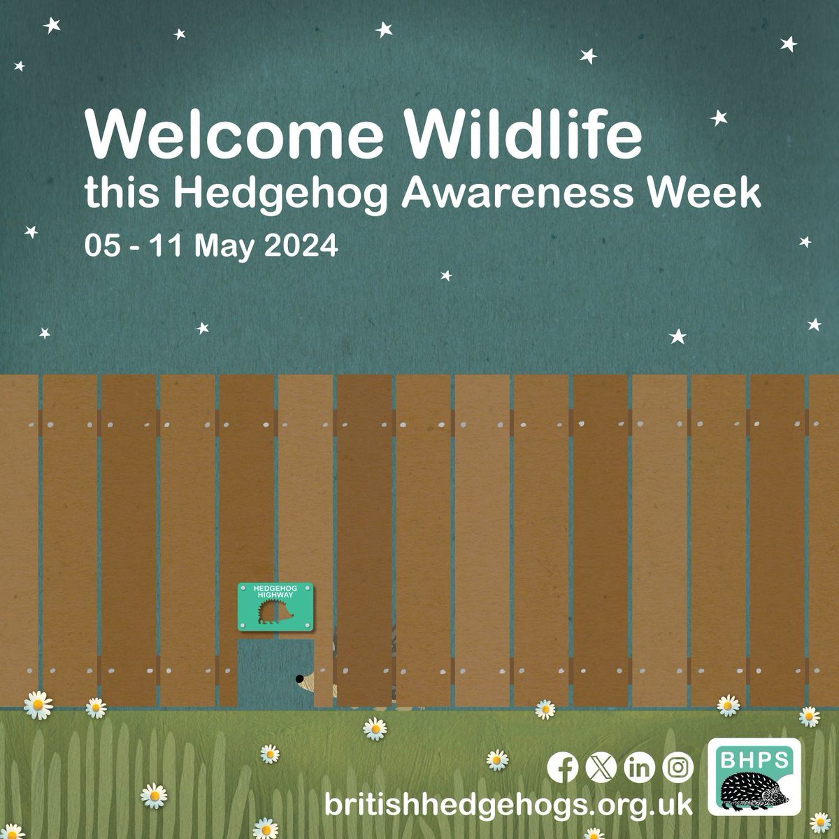 Tonight, we're spreading the word about welcoming #wildlife into our lives!🦔 #Hedgehog populations are in sharp decline across the UK but we want to help safeguard the future of this much-loved animal. 👉 Share this post now & help us get #HedgehogWeek trending!👈