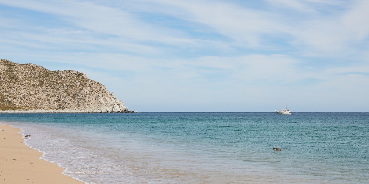 Beyond Los Cabos' polished facade, diverse, rugged landscapes lead to discovery and adventure, from the Sierra de la Laguna’s towering waterfalls to the cultural contrasts of the town of El Triunfo. 🌊☀️ Plan your Los Cabos trip: virtuoso.ltd/tw-lc-hub #VirtuosoTravel