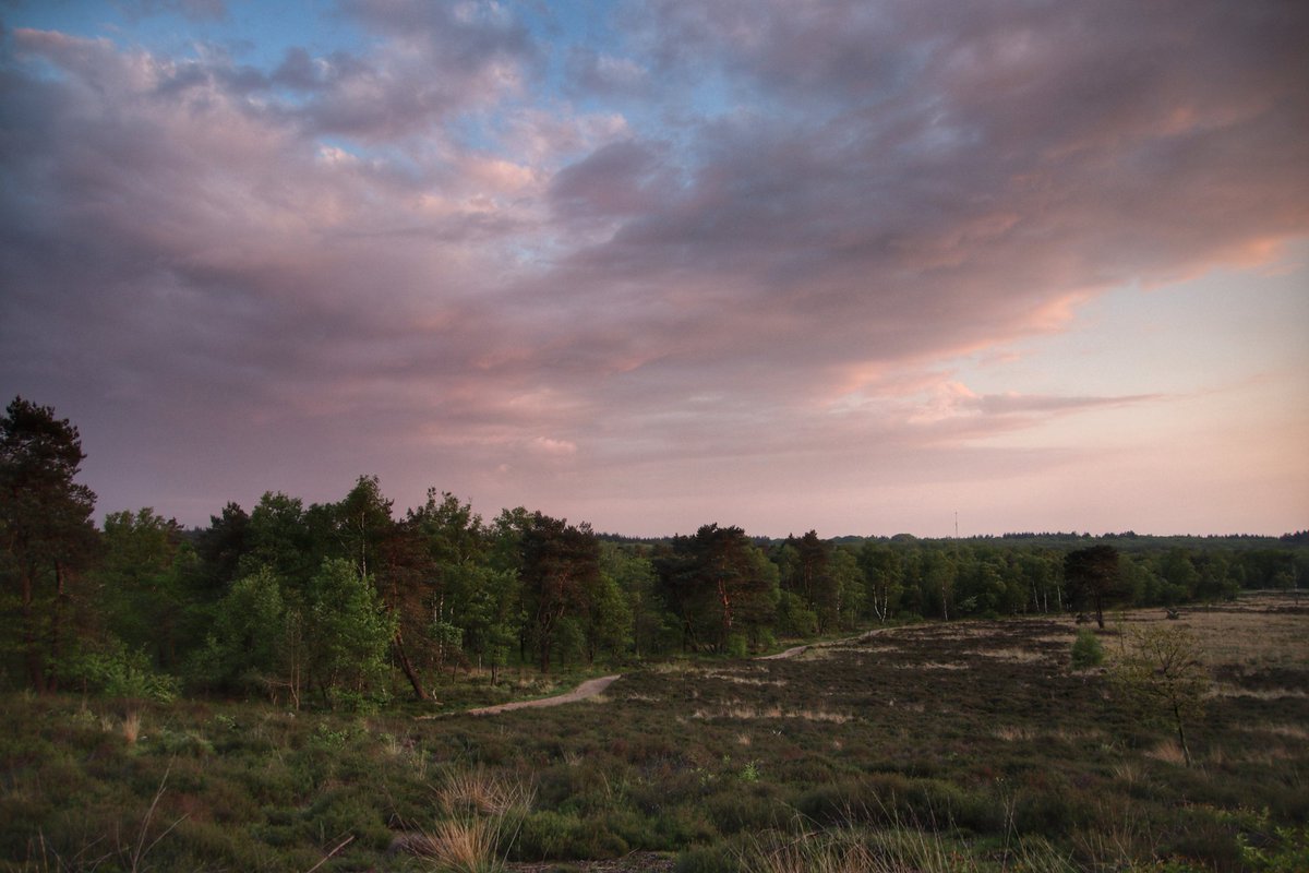 De zonsondergang van vandaag in Hoenderloo! In de verte een klein wegtrekkend buitje! <a href="/AnnaZuidema/">Anna Zuidema 🌤🌧☔🌪⛈❄</a> <a href="/BuienRadarNL/">Buienradar</a> <a href="/Weerplaza/">Weerplaza.nl</a> <a href="/weeronline/">Weeronline</a> <a href="/helgavanleur/">Helga van Leur ☀</a> @weermanreinier
