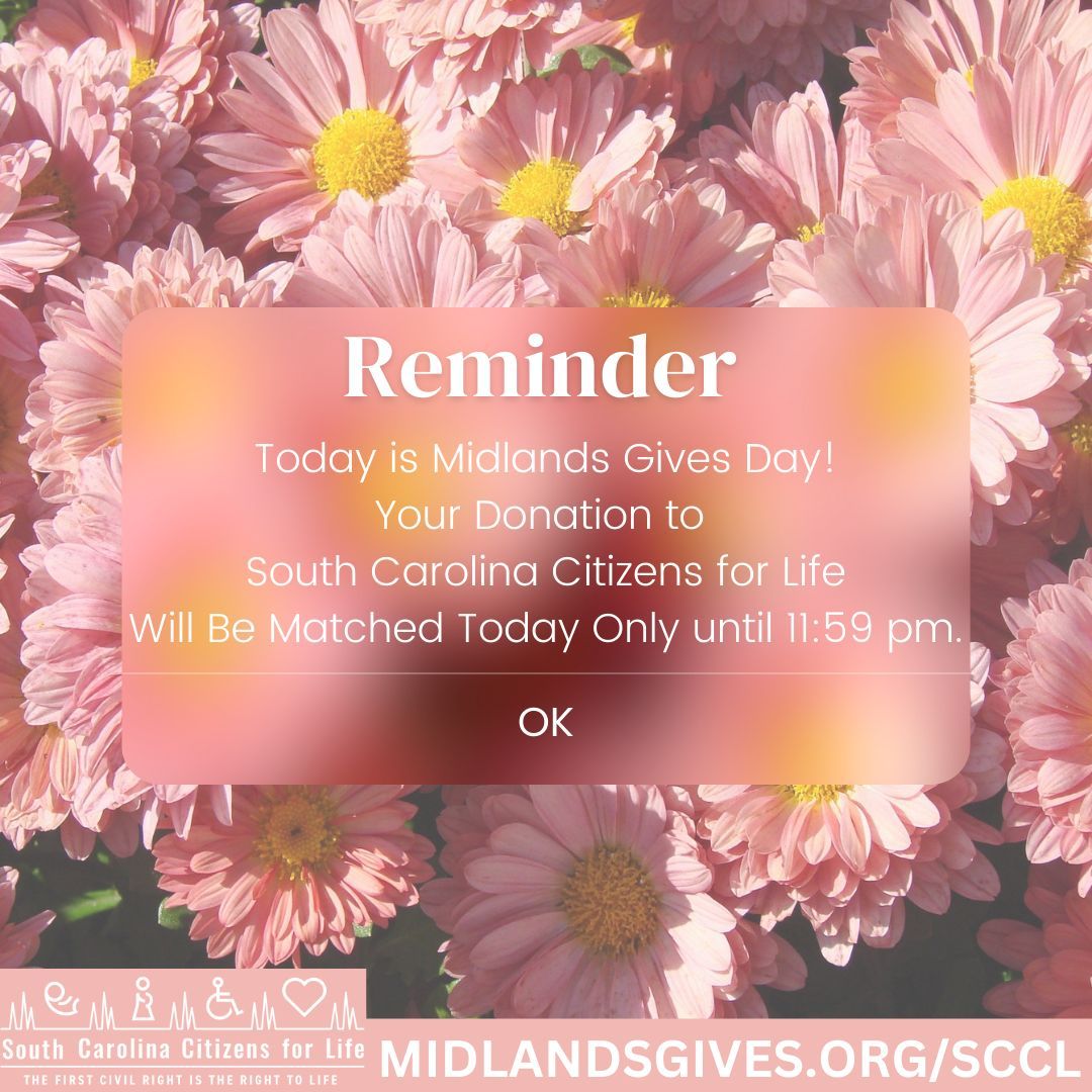 ☕You may need your afternoon coffee at the office, so after you’ve grabbed a coffee, jump online to buff.ly/3bDn3u2 remember to donate and your gift will be matched! 😊 Donate Now: buff.ly/3bDn3u2 #life4sc #midlandsgives2024 #savethebabiessc