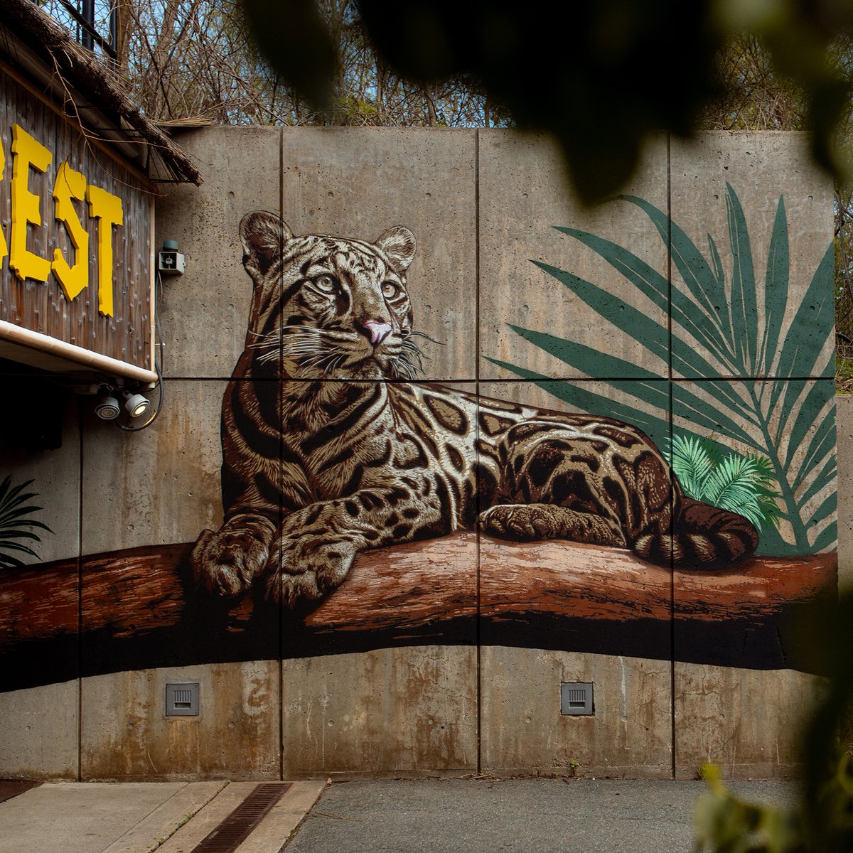 Babe, wake up. The incredible murals painstakingly created by @snikarts are complete—and we could not love them more. They inspire awe for our natural world and our global conservation efforts. Look for them the next time you visit #FranklinParkZoo! 📸 @keownphoto