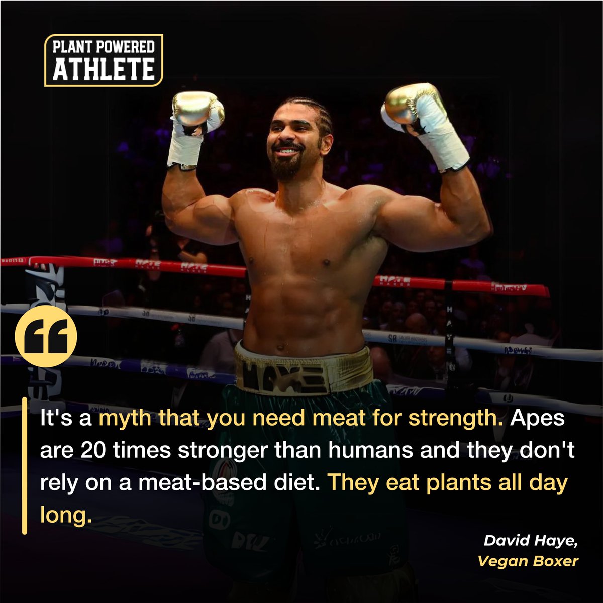 Knock out the myths with David Haye! 🥊🌱 

The heavyweight champ shows true strength doesn't come from meat. Channel the power of plants and go the distance in your fitness journey.

#plantpoweredathlete #plantbasedprotein #plantbasedcoach #plantpowered #plantbased #plantbuil...